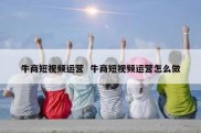 牛商短视频运营  牛商短视频运营怎么做
