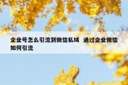 企业号怎么引流到微信私域  通过企业微信如何引流
