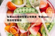 东莞sem竞价托管公司费用  专业sem竞价托管报价