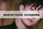 肥城竞价账户竞价托管  竞价托管哪家便宜