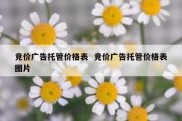 竞价广告托管价格表  竞价广告托管价格表图片