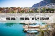 微信群推广  微信群推广什么项目能赚钱