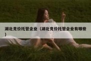 湖北竞价托管企业（湖北竞价托管企业有哪些）