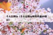 个人公网ip（个人公网ip如何开通80端口）