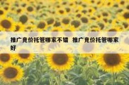推广竞价托管哪家不错  推广竞价托管哪家好