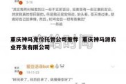 重庆神马竞价托管公司推荐  重庆神马源农业开发有限公司