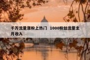 千万流量涨粉上热门  1000粉丝流量主月收入