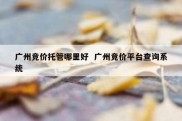 广州竞价托管哪里好  广州竞价平台查询系统