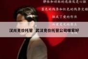 汉川竞价托管  武汉竞价托管公司哪家好