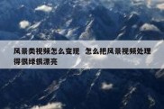 风景类视频怎么变现  怎么把风景视频处理得很绿很漂亮