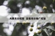 大朗竞价托管  百度竞价推广托管