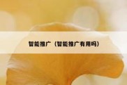 智能推广（智能推广有用吗）