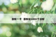 涨粉一千  涨粉丝1000个活粉