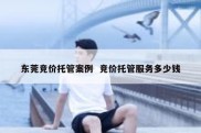 东莞竞价托管案例  竞价托管服务多少钱