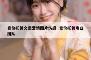 竞价托管文案爱情图片伤感  竞价托管专业团队
