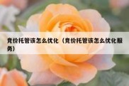 竞价托管该怎么优化（竞价托管该怎么优化服务）