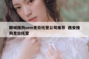 聊城搜狗sem竞价托管公司推荐  西安搜狗竞价托管