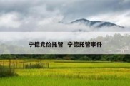 宁德竞价托管  宁德托管事件