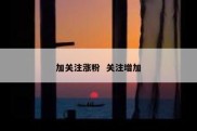 加关注涨粉  关注增加