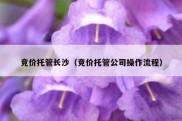 竞价托管长沙（竞价托管公司操作流程）