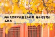 梅州竞价账户托管怎么收费  竞价托管是什么意思