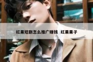 红果短剧怎么推广赚钱  红果果子