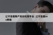 辽宁百度账户竞价托管平台  辽宁百度seo教程