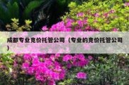 成都专业竞价托管公司（专业的竞价托管公司）