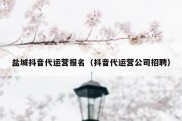 盐城抖音代运营报名（抖音代运营公司招聘）