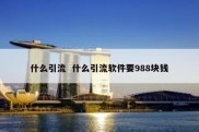 什么引流  什么引流软件要988块钱