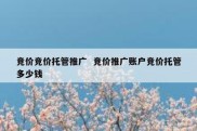 竞价竞价托管推广  竞价推广账户竞价托管多少钱