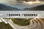 广告投放的精准  广告投放的精准性