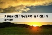 安徽竞价托管公司电话号码  竞价托管公司操作流程