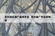 竞价排名推广服务外包  竞价推广平台有哪些