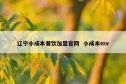 辽宁小成本餐饮加盟官网  小成本mv