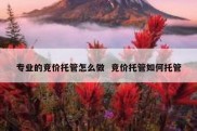 专业的竞价托管怎么做  竞价托管如何托管
