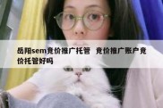 岳阳sem竞价推广托管  竞价推广账户竞价托管好吗