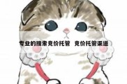 专业的搜索竞价托管  竞价托管渠道