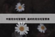 中国竞价托管案例  最好的竞价托管费用