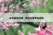 义乌竞价托管  竞价托管专业团队
