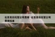 北京竞价托管公司费用  北京竞价托管公司费用标准
