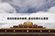 竞价托管合作条例  竞价托管什么意思
