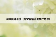 淘宝店铺引流（淘宝店铺引流推广方法）