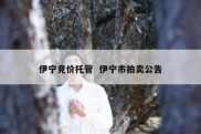 伊宁竞价托管  伊宁市拍卖公告
