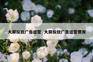 大屏投放广告运营  大屏投放广告运营费用