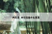 内引流  内引流是什么意思