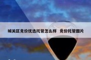 城关区竞价优选托管怎么样  竞价托管图片