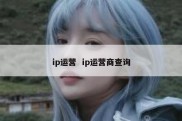 ip运营  ip运营商查询