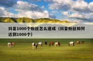 抖音1000个粉丝怎么速成（抖音粉丝如何达到1000个）
