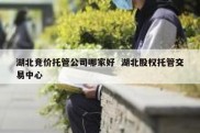湖北竞价托管公司哪家好  湖北股权托管交易中心